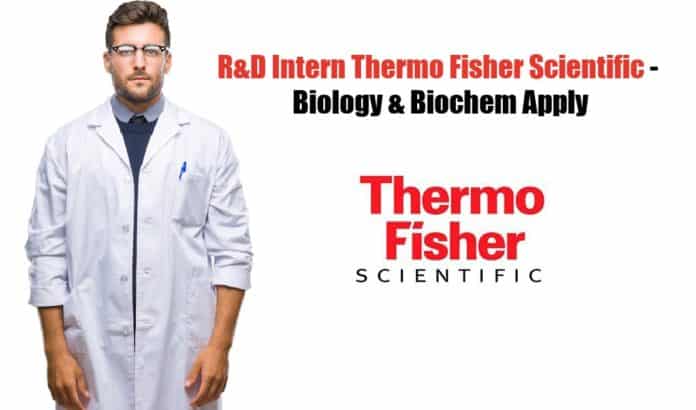 R&D Intern Thermo Fisher