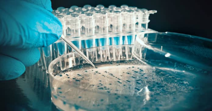 Syngenta Molecular Biology Scientist Vacancy - Apply Online