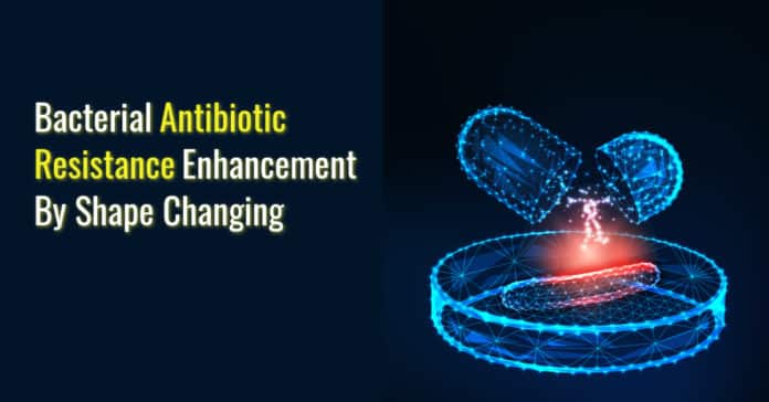 Bacterial Antibiotic Resistance Enhancement