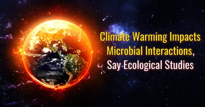 Climate Change Impact on Microorganisms