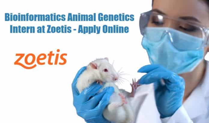 Zoetis Internships 2021