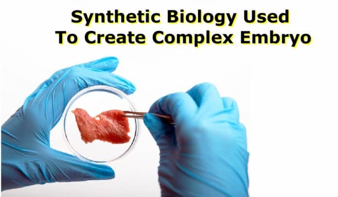 Breakthrough In Synthetic Biology