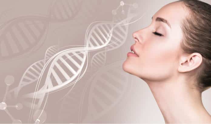 Genes for face shape