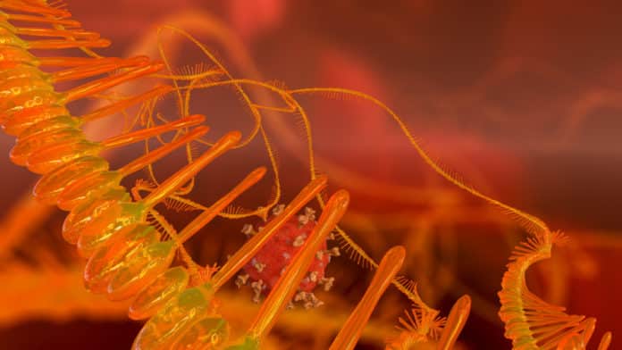 Importance Of RNA Structure