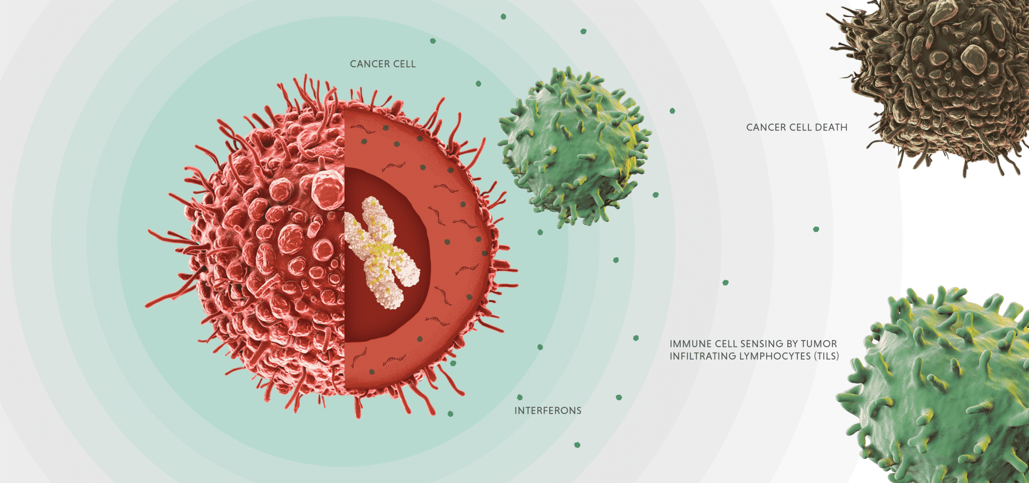 Top Life Sciences Startups