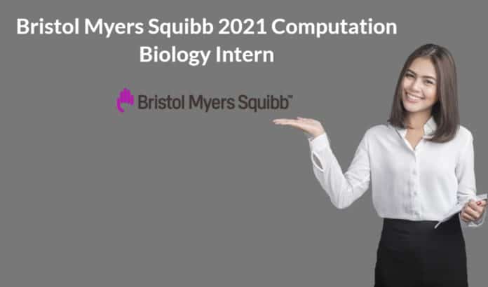 2021 Intern at Bristol