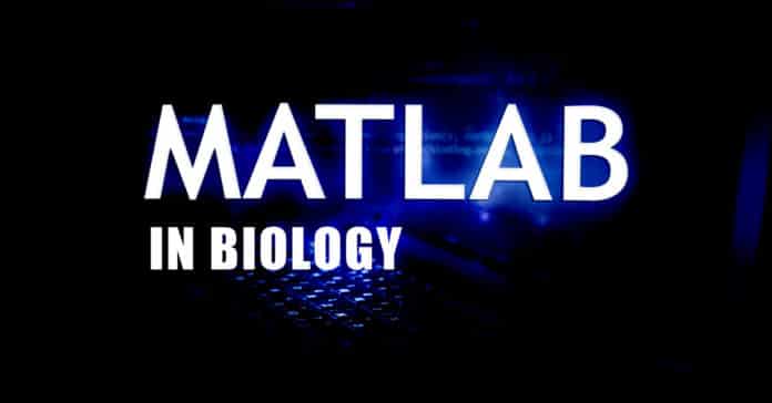 MATLAB in biology