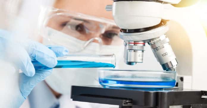 ICGEB Research Technician Recruitment - Biochemistry & Microbiology