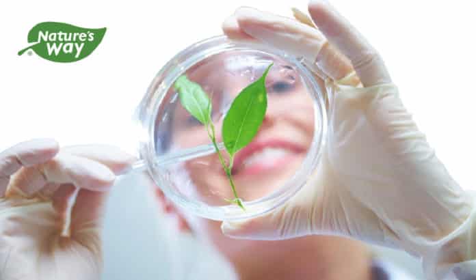 Nature's Way Lab Intern