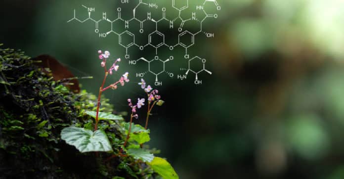 Novozymes Biotech Industrial Trainee Vacancy - Apply Online