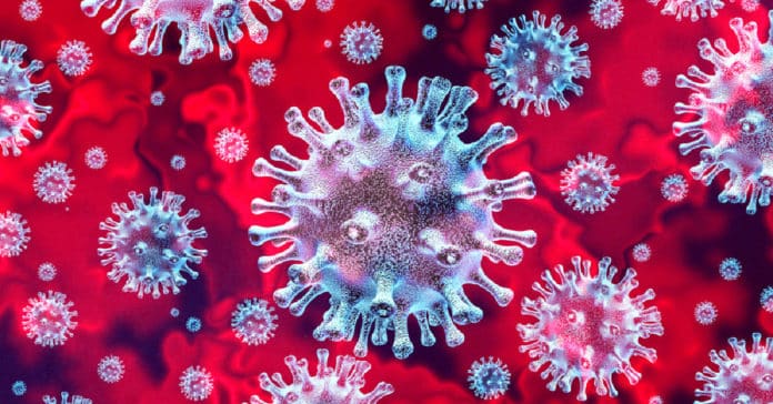 PPD Virology Research Scientist Vacancy 2021 - Apply Online