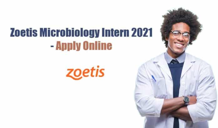 Zoetis Microbiology Intern 2021