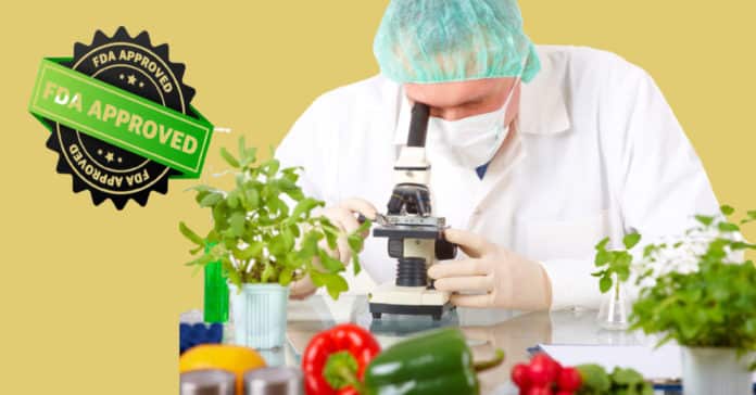 Unilever Foods Regulatory Affairs Specialist Vacancy - Apply Online