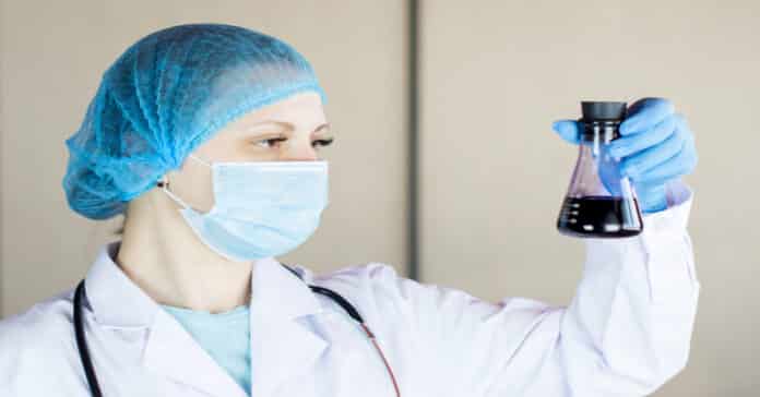 Bayer Bioprocess Research Scientist Recruitment - Apply Online