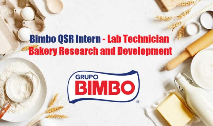 Bimbo QSR Intern