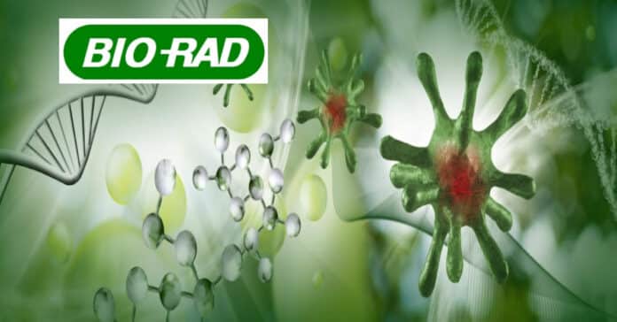 Bio-RAD Research Associate Recruitment 2021 - Molecular Biology & Biochemistry