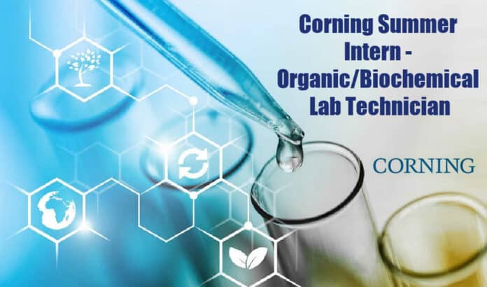 Corning Summer Intern