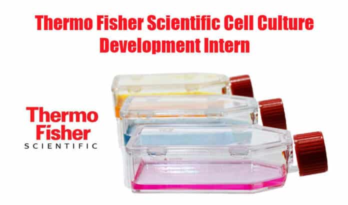 Thermo Fisher Scientific Intern