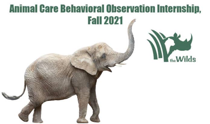 Animal Care Behavioral Observation