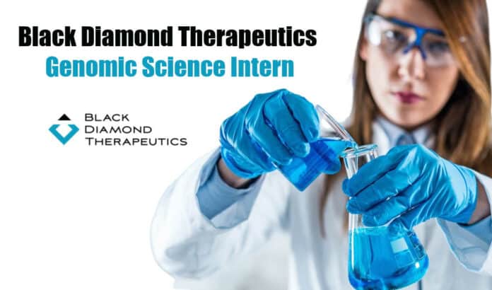 Black Diamond Therapeutics Intern