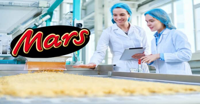 Mars Cocoa Process Technology Engineer Vacancy - Apply Online