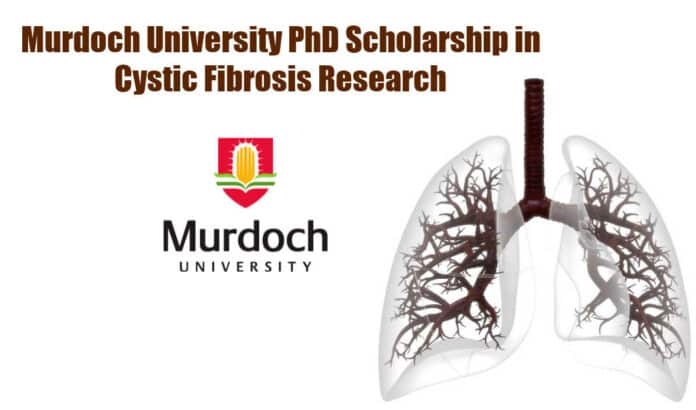 Murdoch University PhD Scholarship