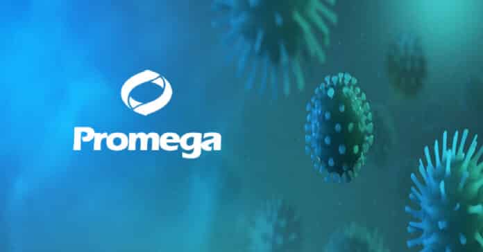 Promega Freshers Job Opening - Cell Biology Research Scientist Post