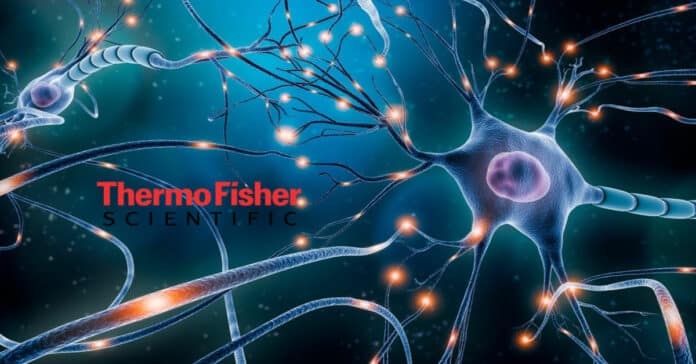 Thermo fisher scientific Biology Job Opening - Apply Online