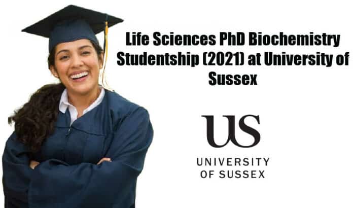 University of Sussex Studentship