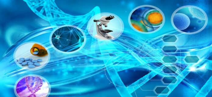 Bayer Biochemistry Development Scientist Vacancy - Apply Online