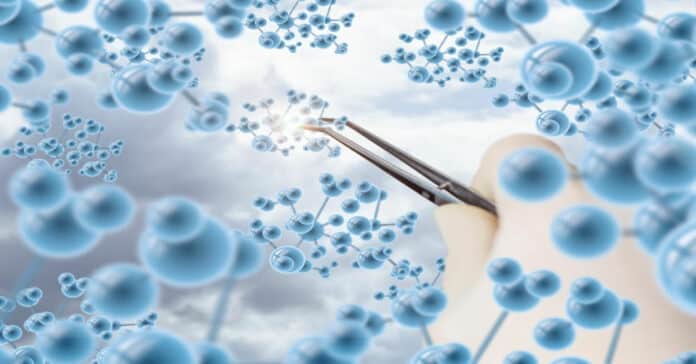 IFF Molecular Biologist Recruitment Announced - Apply Online