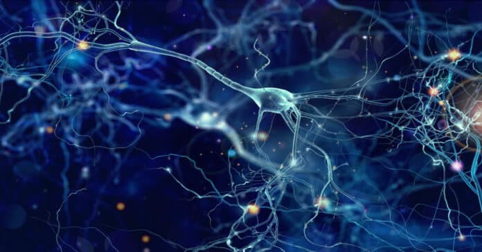 PPD Cell Biology Scientist Job Opening 2021 - Apply Online