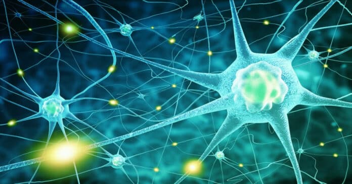 PPD Cell Biology Technician Job Opening 2021 - Apply Online