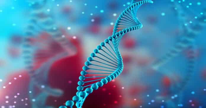 Pfizer Cell Biology Senior Scientist Vacancy 2021 - Apply Online