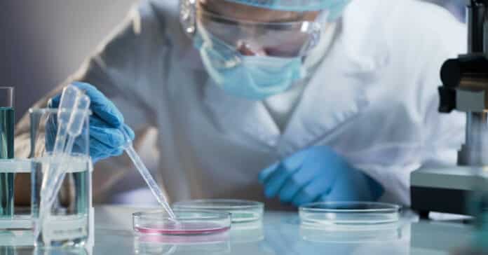 Thermo Fishers Drug Discovery Manufacturing Scientist Vacancy