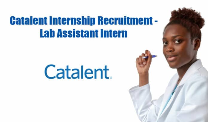 Catalent Internship