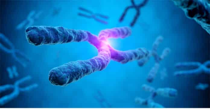 Duke Research Technician Job Opening 2021 - Apply Online