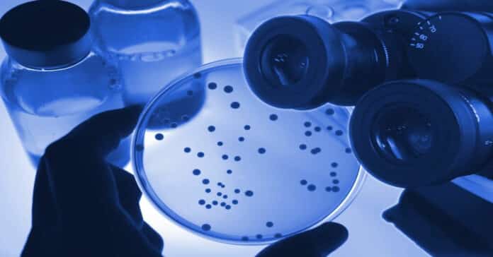 IFF Hiring Microbiologist - Microbiology Candidates Apply Online