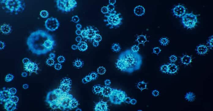 IFF Microbiology Assistant Scientist Vacancy - Apply Online