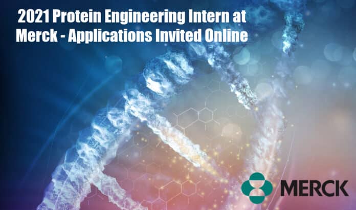 Protein Engineering Intern