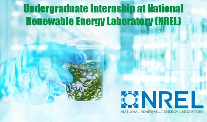Undergraduate Internship