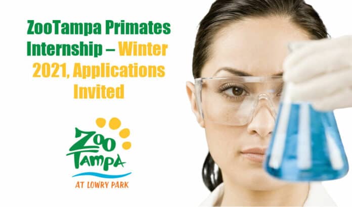 ZooTampa Primates Internship