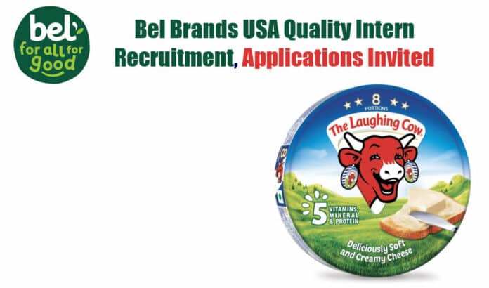 Bel Brands USA Intern