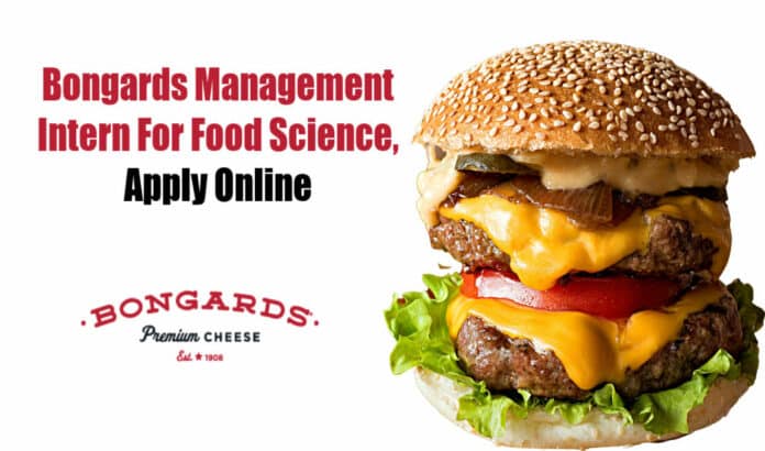 Bongards Management Intern
