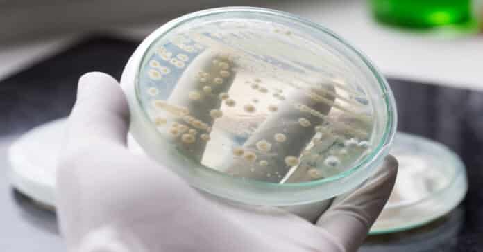 Unilever Hiring Cell Biologist - Candidates Apply Online
