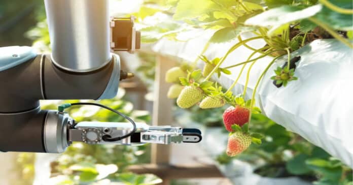 Mars Food Safety Technologist Vacancy Announced - Apply Online