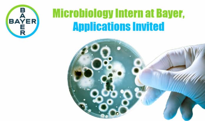 Microbiology Intern at Bayer