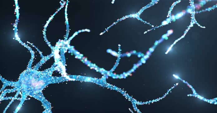P&G Biology Associate Scientist Job Opening 2021 - Apply Online