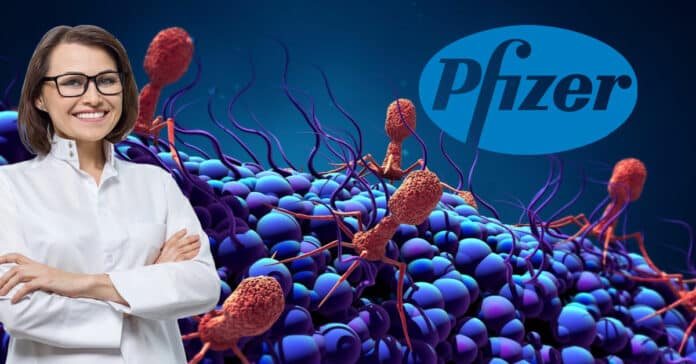 Pfizer Hiring Freshers - BS Microbiology HCID Associate Scientist Post