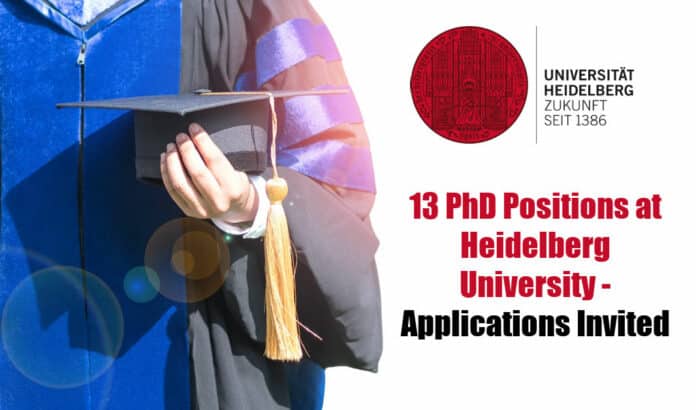 PhD Positions at Heidelberg